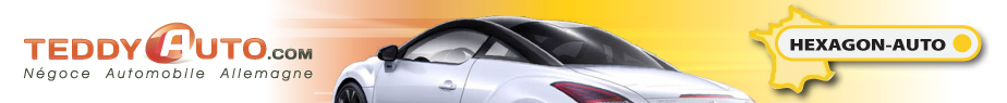 Teddy-auto.com - spécialiste occasions récentes